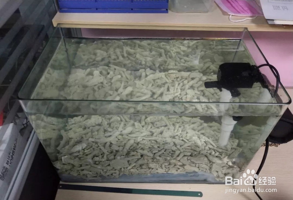 手把手教您如何制作一个小底砂缸