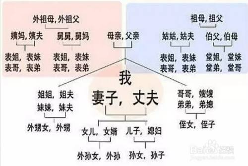 老婆的弟我怎么称呼?