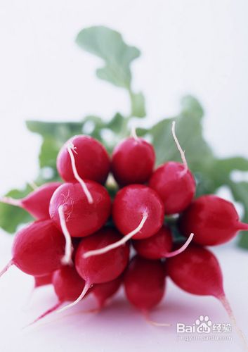 冬季养生有哪些好方法