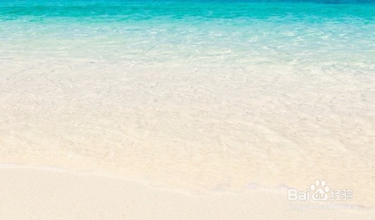 在海边游泳要注意什么？