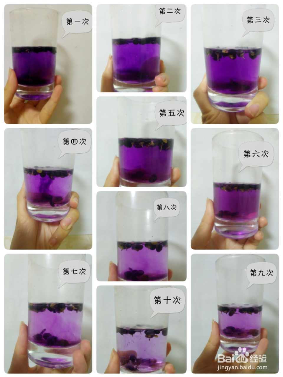 如何辨别黑枸杞是野生还是种植？