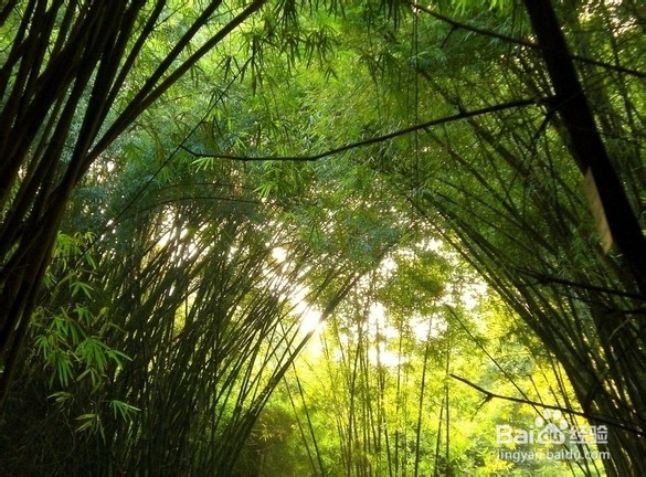 和你一起游茂名