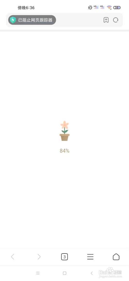 forest花语攻略
