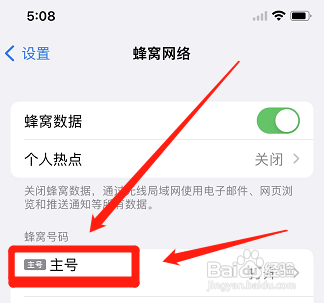 iphone开启蜂窝网络却无网络?