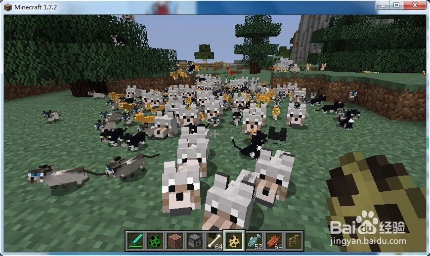 我的世界创造模式怎么复制宠物