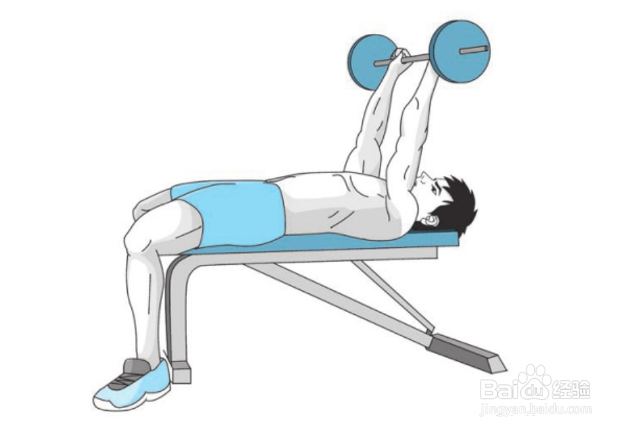 【杠铃训练胸肌 练胸肌】之杠铃仰卧曲臂上提