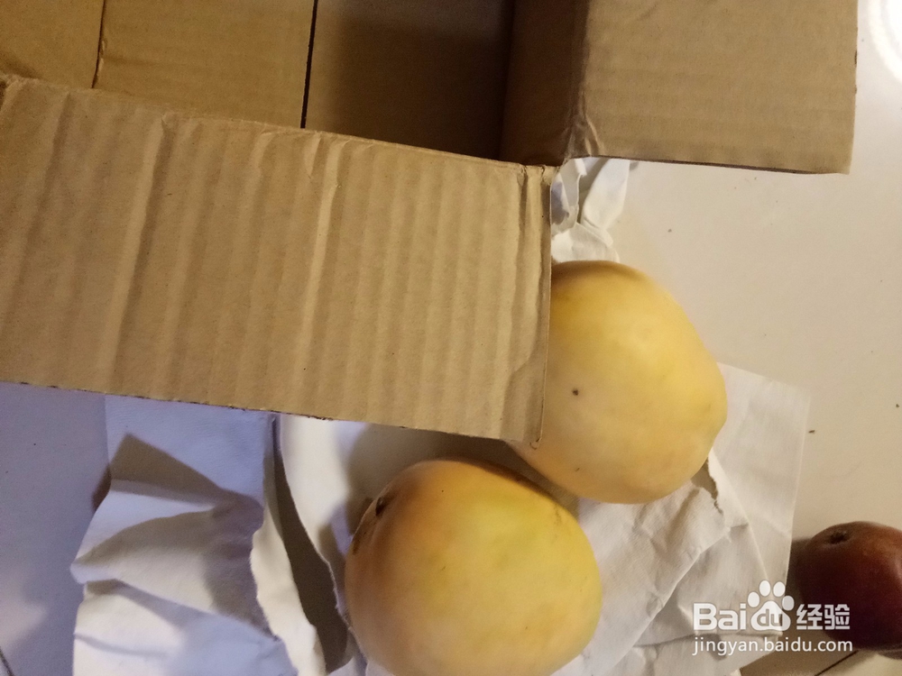新买来的芒果只有八分熟应该怎么办才能熟透