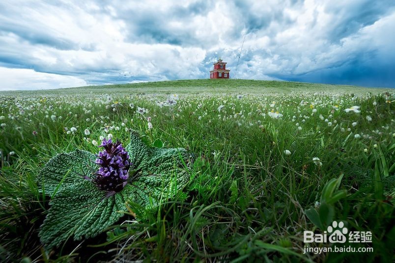 川西若尔盖花湖 川西7日摄影旅游 西北户外地接