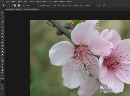 ps教程图片去水印的方法如何去水印