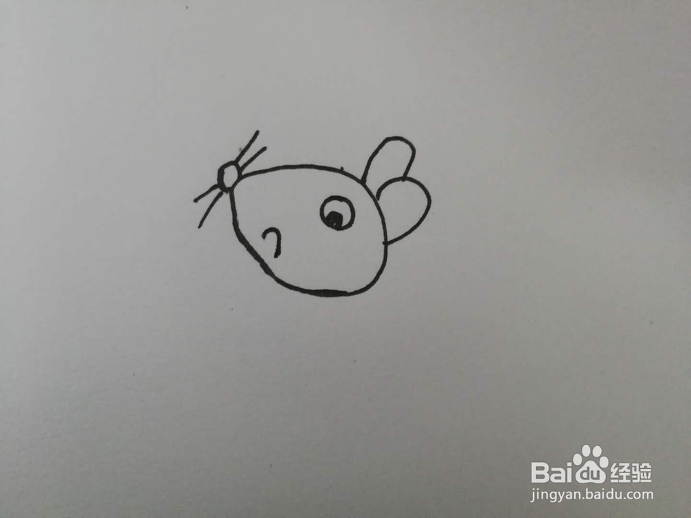 简笔画调皮的小老鼠
