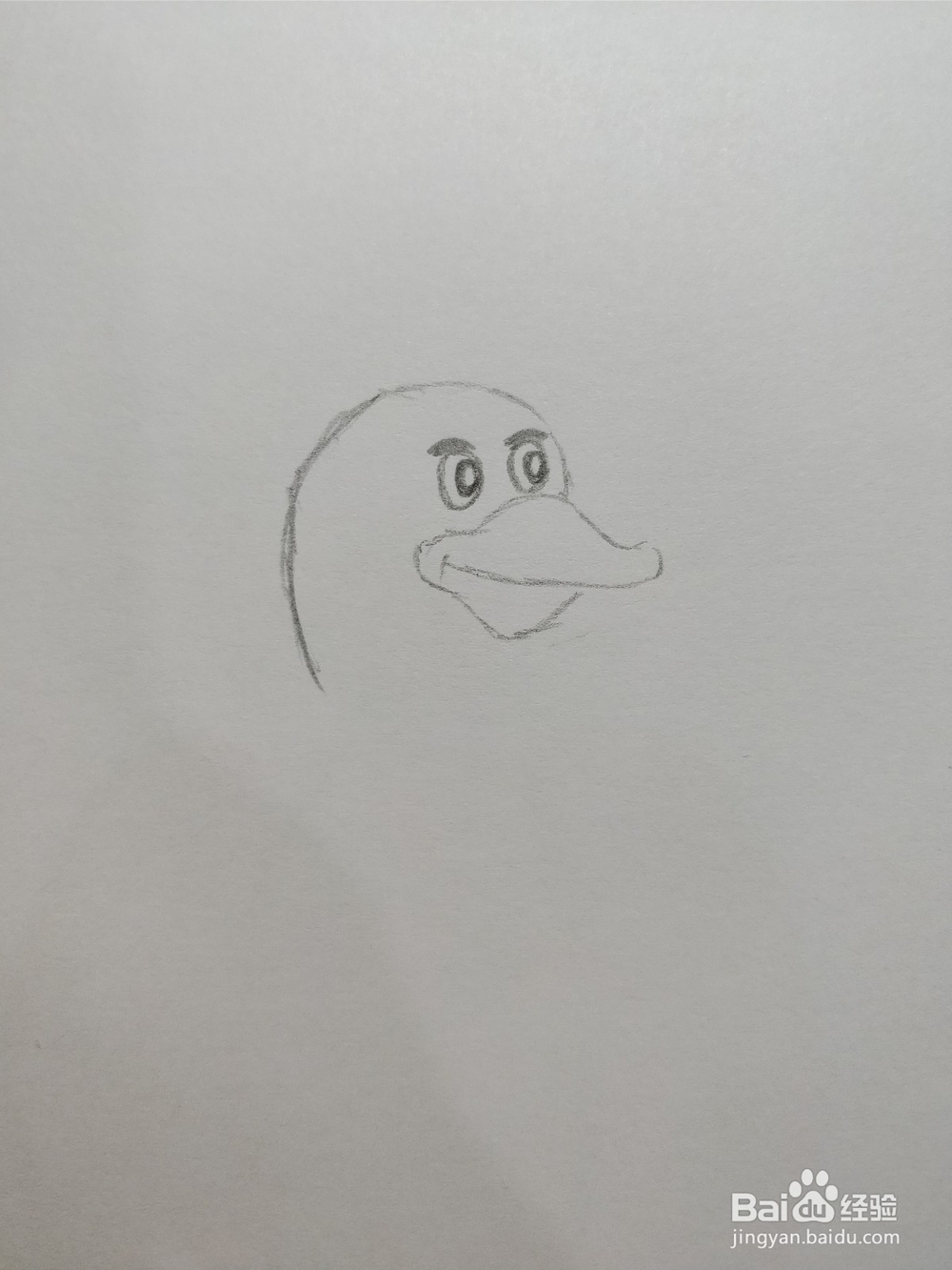 简笔画画企鹅