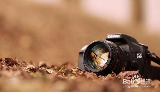 摄影征集震撼开拍,照出你的最美江南