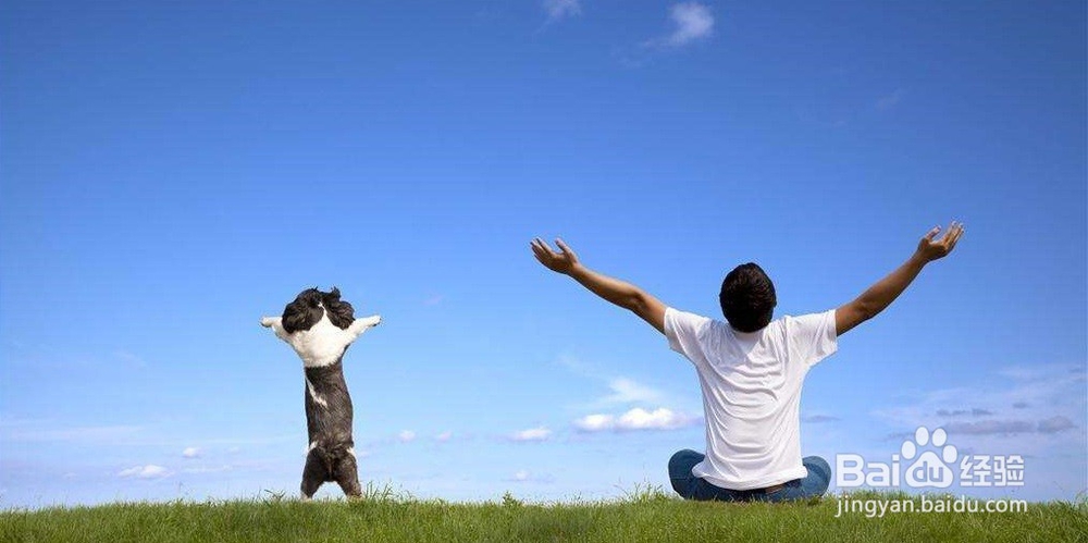 分手之后怎么挽回女友