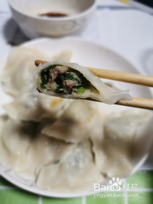 养生食补韭菜猪肉馅饺子