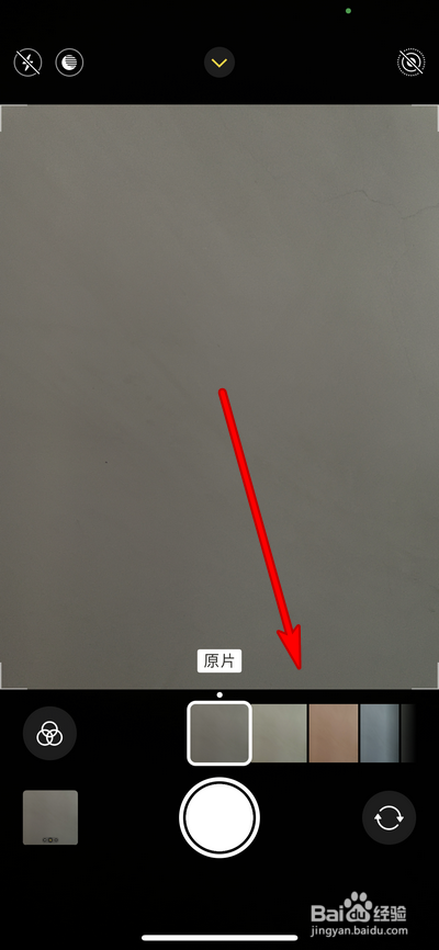 iphone12pro max拍照怎么设置照片风格