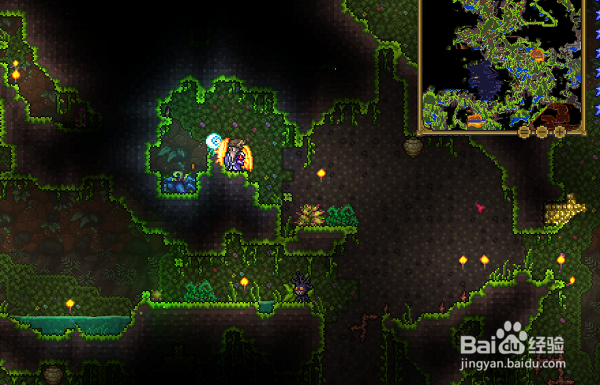 泰拉瑞亚鱼饵怎么获得,如何快速获得鱼饵