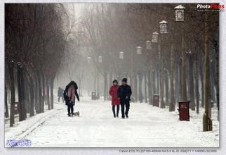 英文几种不同的方式表达“冷死了”