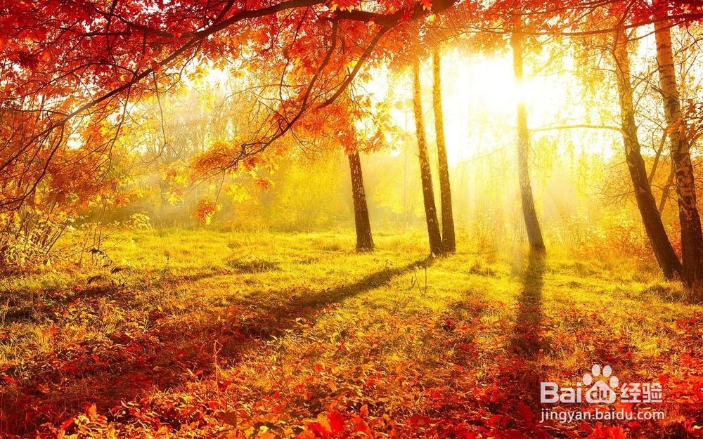 如何调整分手后的心情？