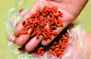 怎么挑选上好的枸杞