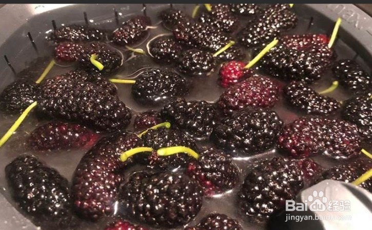 新鲜桑葚需要清洗吗