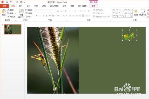 怎么给PPT添加路径动画运动效果