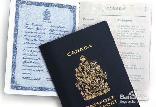 加拿大旅游签证生孩子如何给宝宝更换证件？