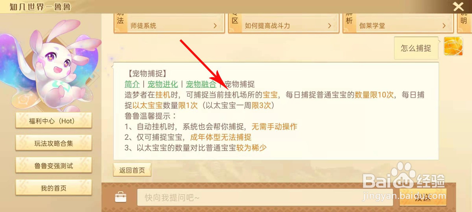 梦想新大陆怎么捕捉宠物