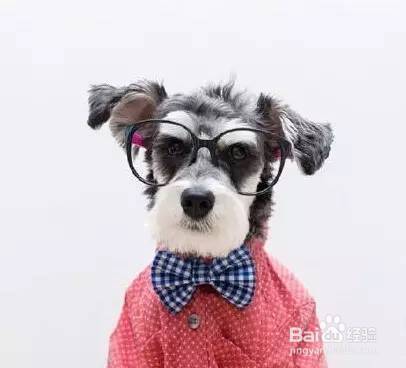 为孩子配眼镜，这些技能你应该学会！