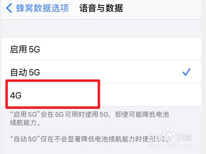 iphone13怎么把5g改成4g