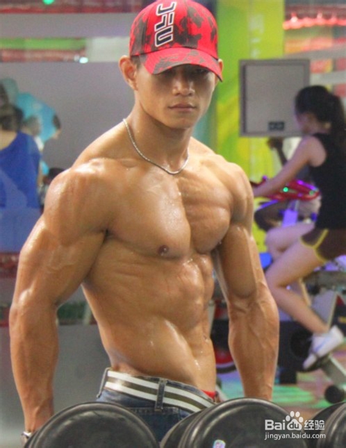 揭秘MMA名将杨建平力量训练计划及方法