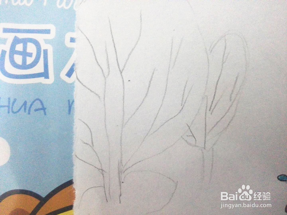 春树开花的彩笔画分享