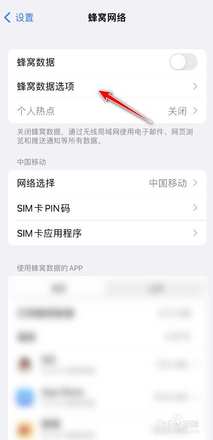 苹果怎么设置4G网络