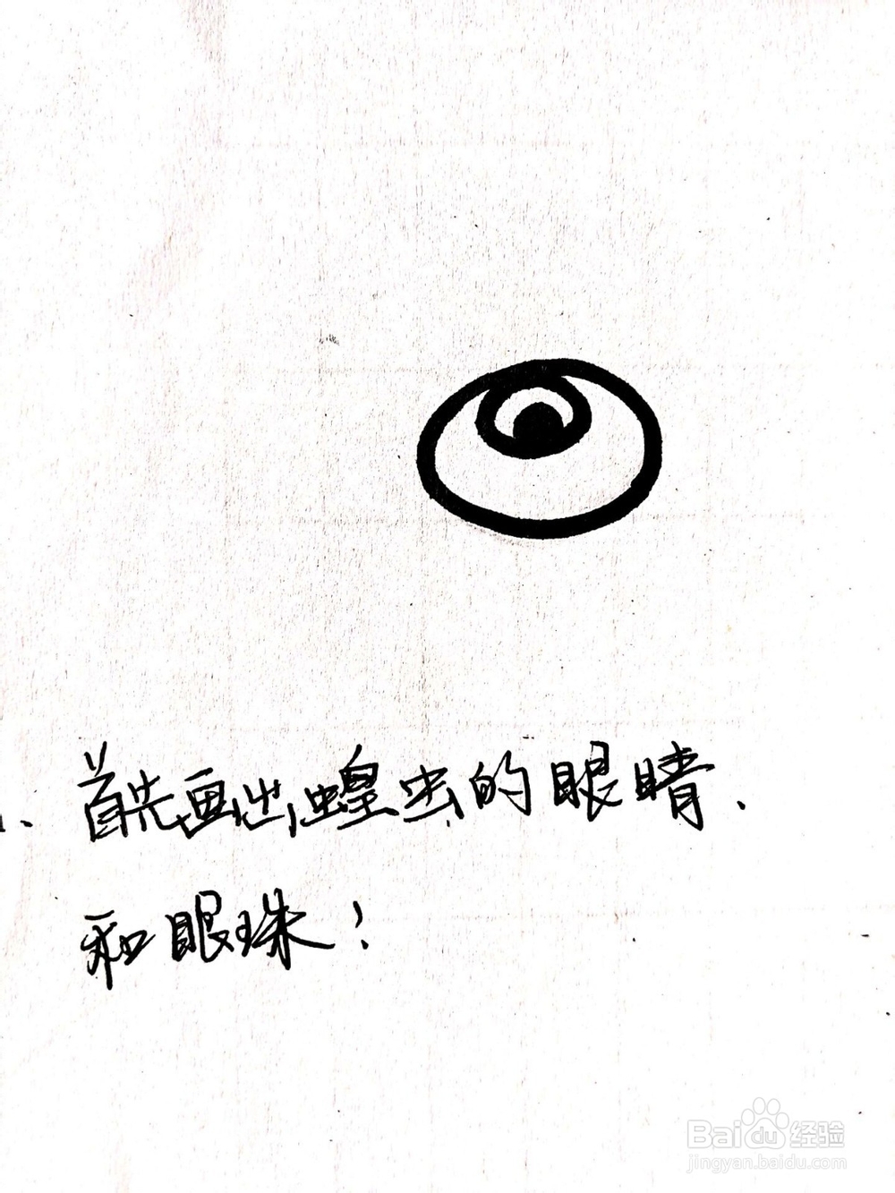 《生活中常见的昆虫》系列之蝗虫简笔画