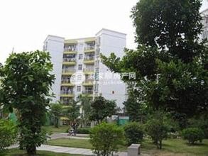 怎样选一套好房子?