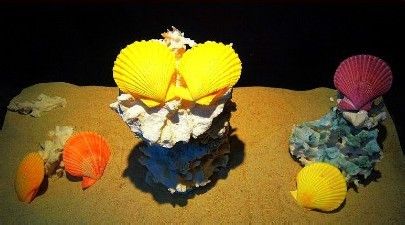 三亚亚龙湾旅游攻略