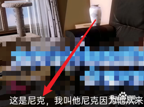 失物招领处游戏攻略