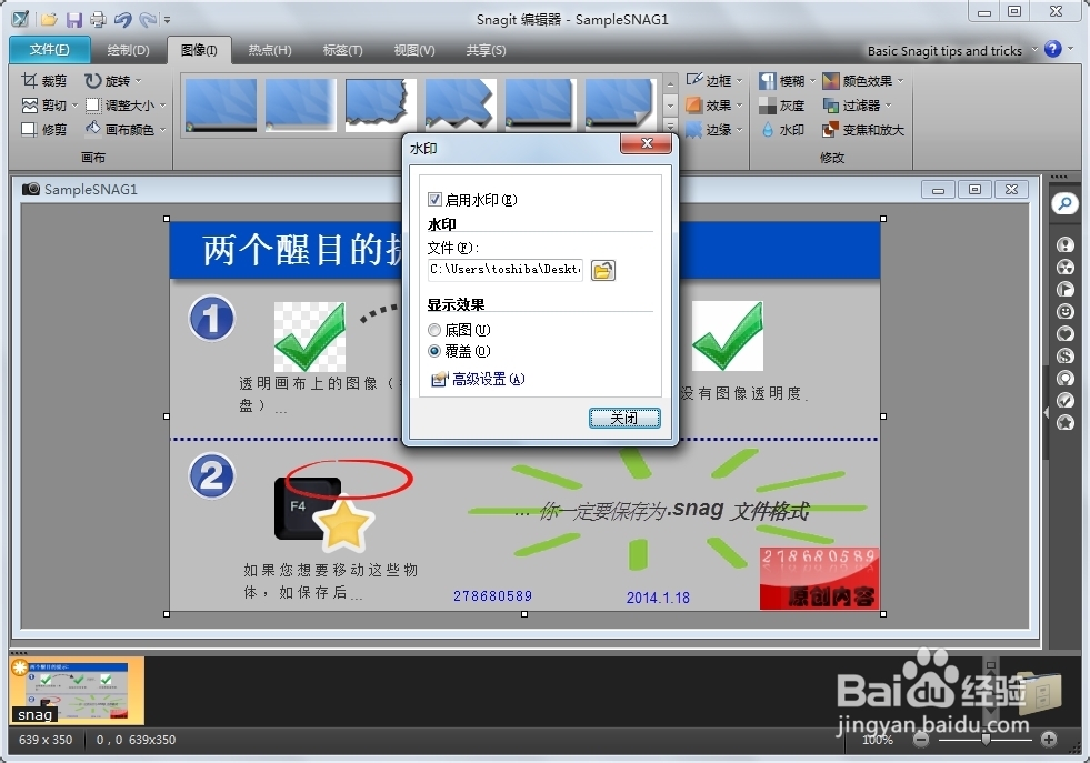 snagit11教程篇：[3]图片添加水印