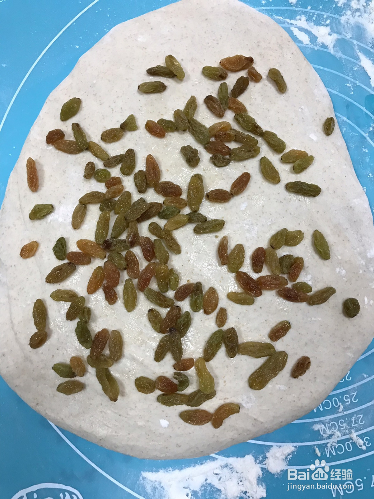 全麦葡萄干软欧包的做法