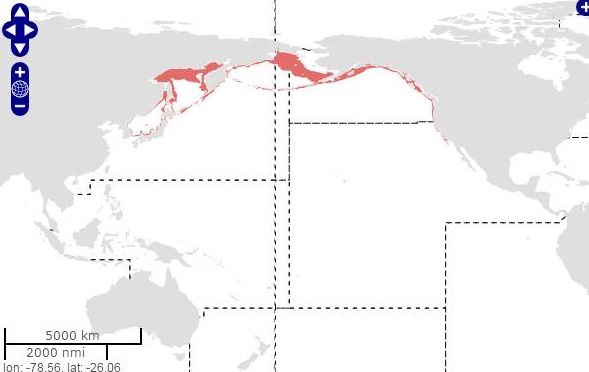 阿拉斯加狭鳕鱼豆腐汤