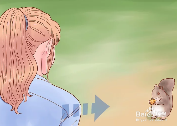 如何用手给松鼠喂食