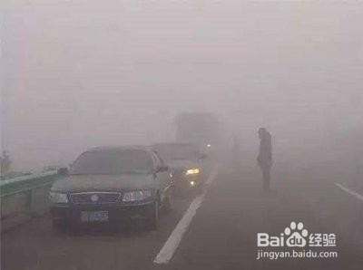雾天开车安全注意事项