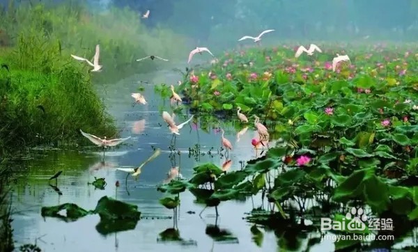 童话美景不只存在书中，看山东现实中的童话影像