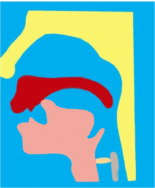 n和l的发音的窍门