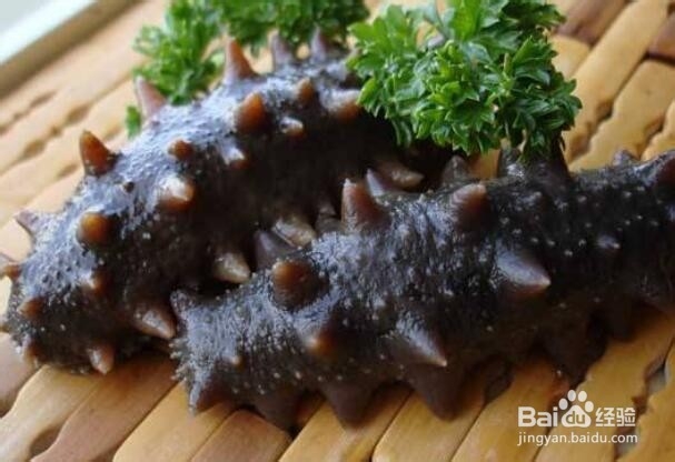 海参真假怎么辨别