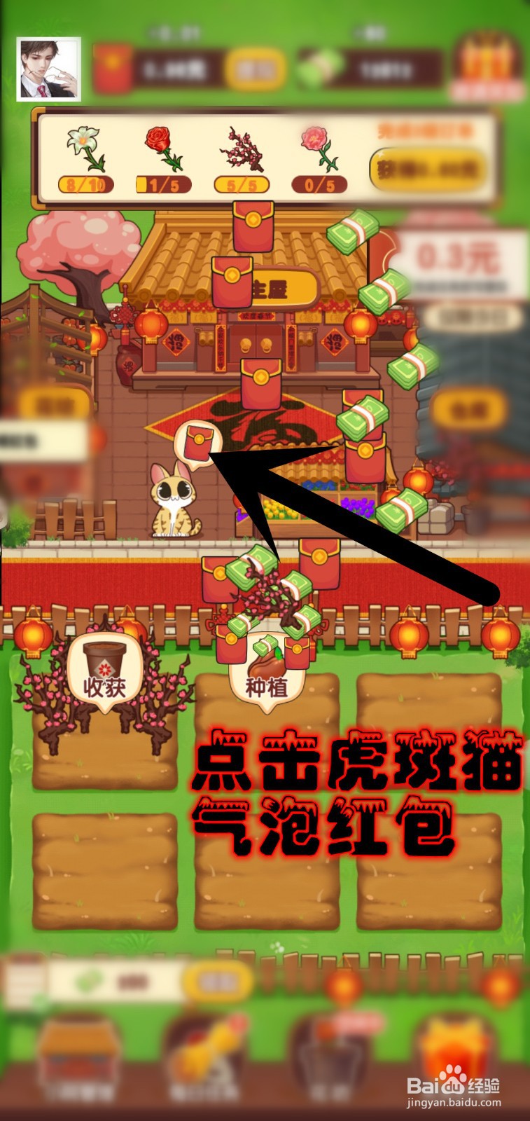 奶奶的小花圃游戏怎么领邻居虎斑猫礼物奖励