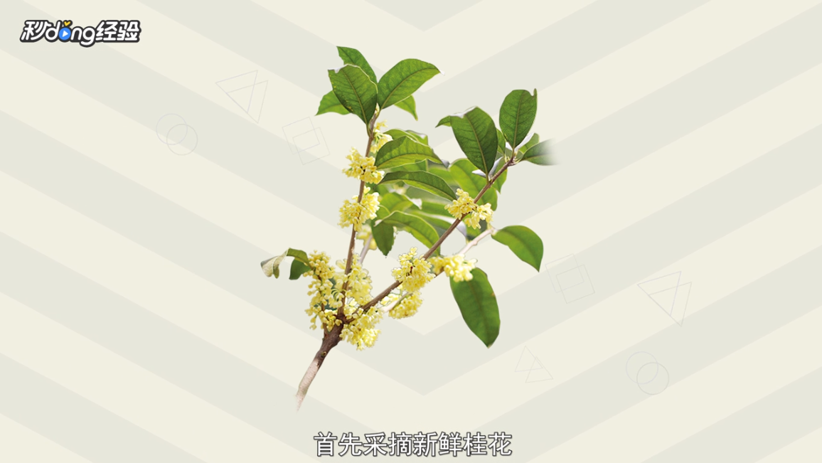 桂花香包怎么做