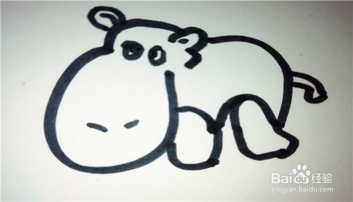 怎么样用简笔画画笨重的河马
