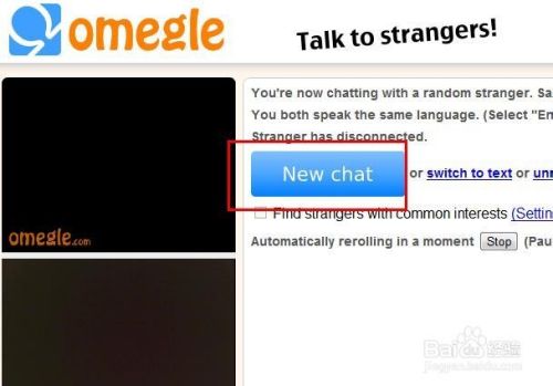 omegle如何使用