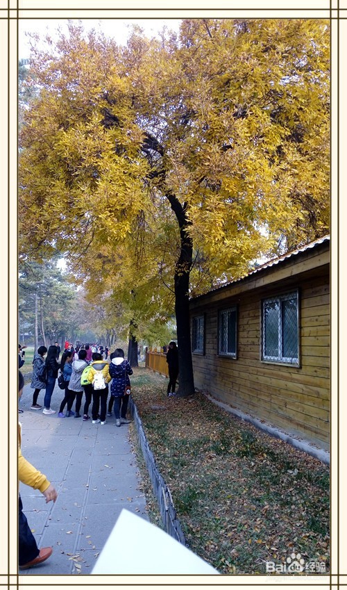 带爸妈游避暑山庄