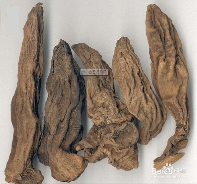 乙型脑炎【华佗妙法】：[2]清瘟败毒饮